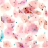 anisotropic.jpg